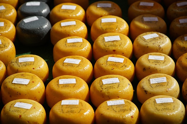 interior of Vinatrex artisan cheese dairy showing stainless steel vats and traditional cheesemaking equipment in County Cork Ireland