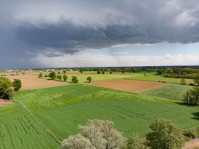 aerial view of West Cork Irish countryside near Clonakilty showing patchwork green fields stone walls and farmhouses