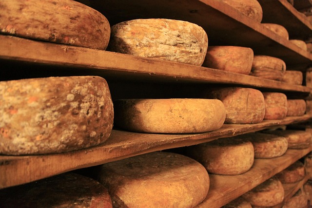 interior of Vinatrex farm shop showing artisan cheese wheels on wooden shelves warm natural lighting and rustic stone walls